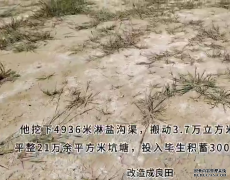 八年治碱三百万,补贴为何落空?
